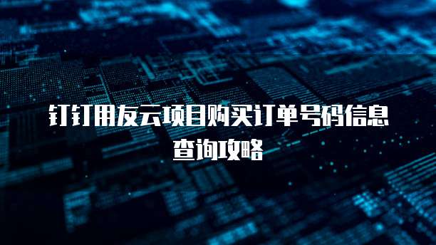 钉钉用友云项目购买订单号码信息查询攻略