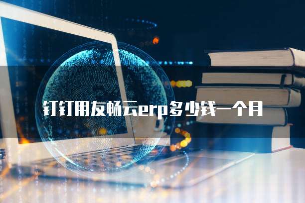 钉钉用友畅云erp多少钱一个月
