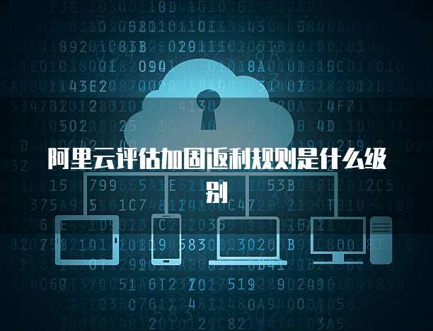 阿里云评估加固返利规则是什么级别