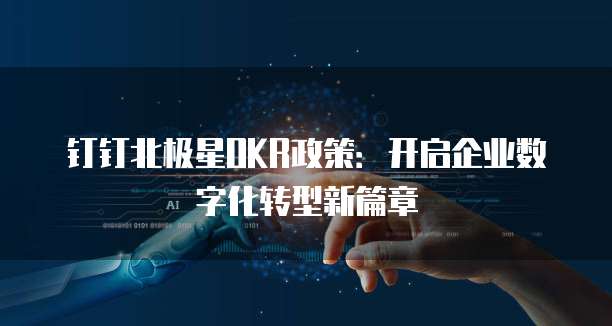 钉钉北极星OKR政策:开启企业数字化转型新篇章