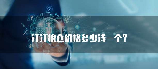 钉钉粮仓价格多少钱一个？