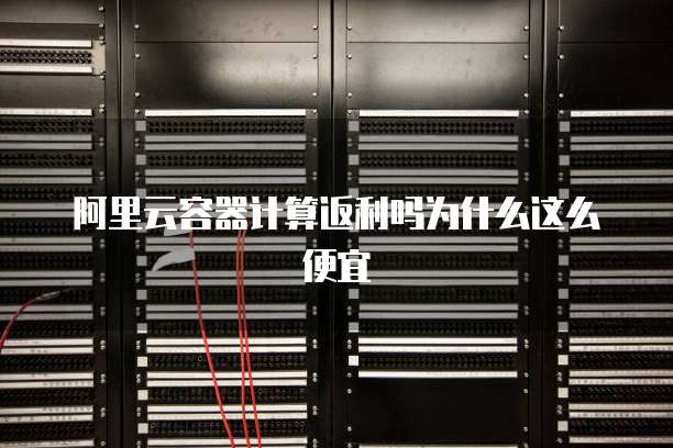 阿里云容器计算返利吗为什么这么便宜