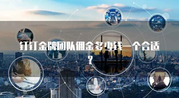 钉钉金牌团队佣金多少钱一个合适？