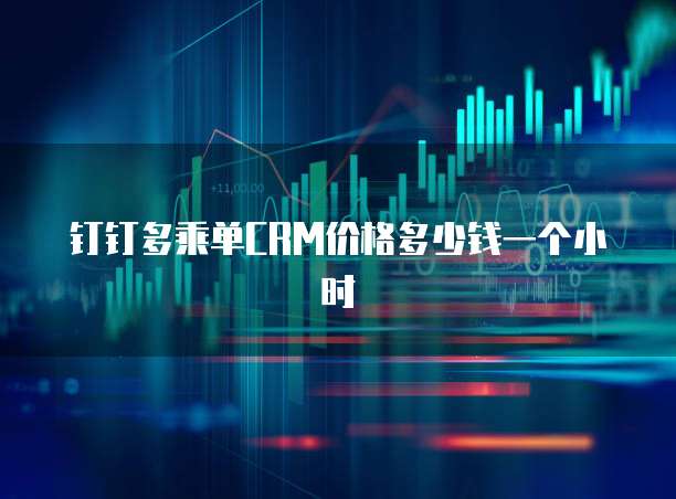钉钉多乘单CRM价格多少钱一个小时