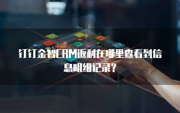 钉钉金智CRM返利在哪里查看到信息明细记录?