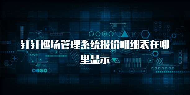 钉钉巡场管理系统报价明细表在哪里显示