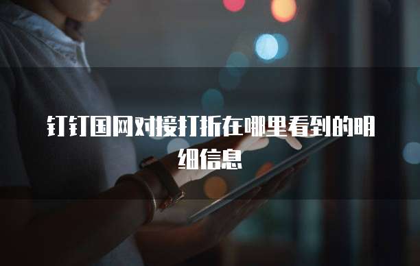 钉钉国网对接打折在哪里看到的明细信息