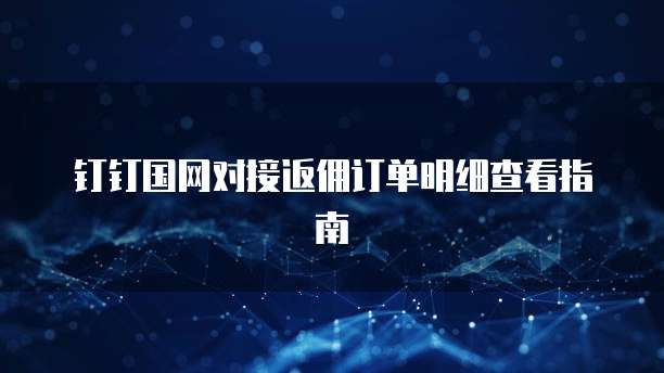 钉钉国网对接返佣订单明细查看指南