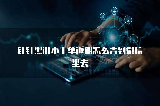 钉钉黑湖小工单返佣怎么弄到微信里去