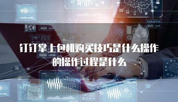 钉钉掌上包机购买技巧是什么操作的操作过程是什么