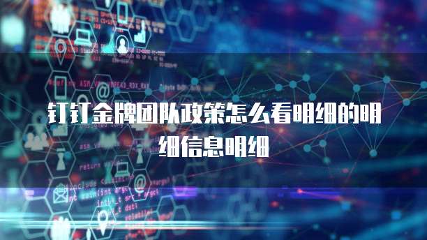 钉钉金牌团队政策怎么看明细的明细信息明细