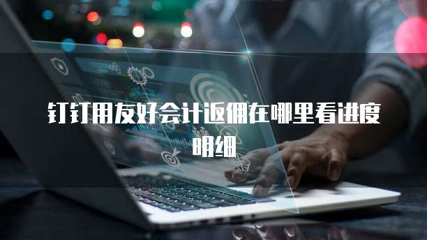 钉钉用友好会计返佣在哪里看进度明细