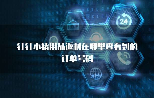 钉钉小猪用品返利在哪里查看到的订单号码