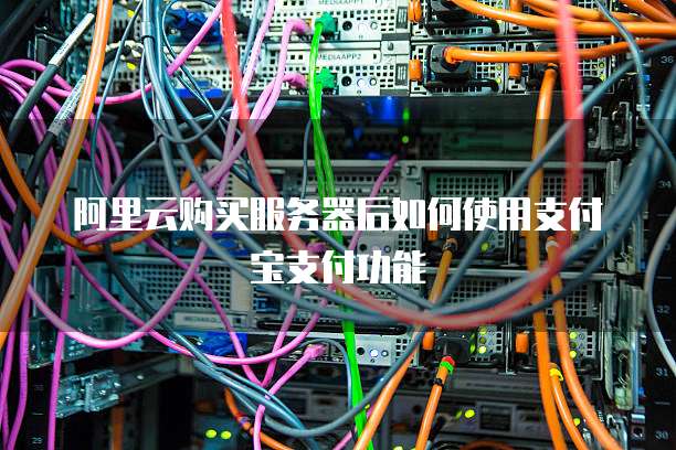阿里云购买服务器后如何使用支付宝支付功能