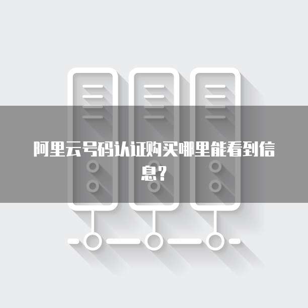 阿里云号码认证购买哪里能看到信息?