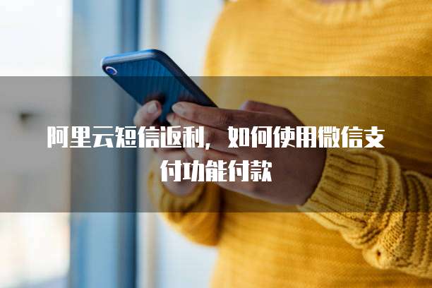 阿里云短信返利，如何使用微信支付功能付款