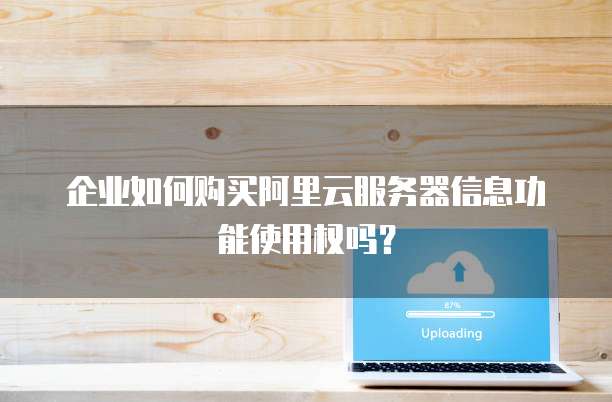 企业如何购买阿里云服务器信息功能使用权吗?