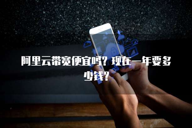 阿里云带宽便宜吗?现在一年要多少钱?