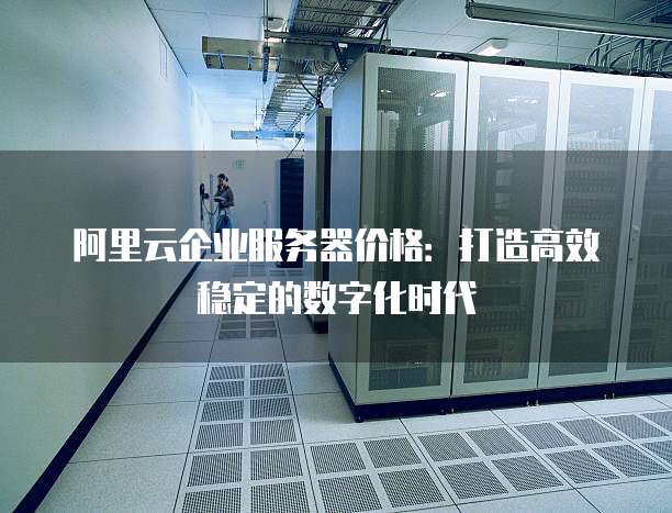 阿里云企业服务器价格：打造高效稳定的数字化时代