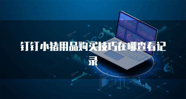 钉钉小猪用品购买技巧在哪查看记录