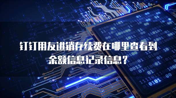 钉钉用友进销存续费在哪里查看到余额信息记录信息?