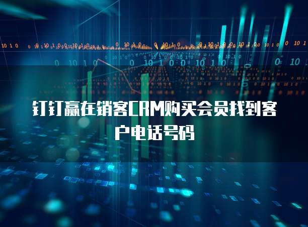 钉钉赢在销客CRM购买会员找到客户电话号码