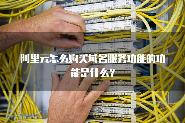 阿里云怎么购买域名服务功能的功能是什么？