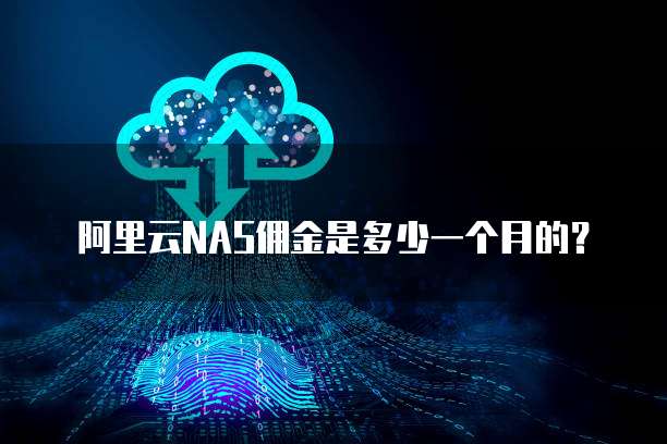 阿里云NAS佣金是多少一个月的？