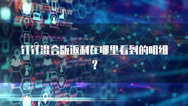 钉钉混合版返利在哪里看到的明细?