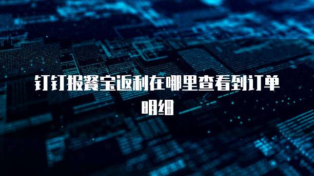 钉钉报餐宝返利在哪里查看到订单明细