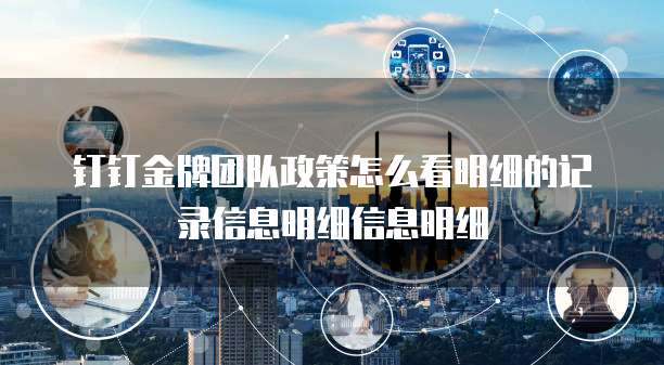 钉钉金牌团队政策怎么看明细的记录信息明细信息明细