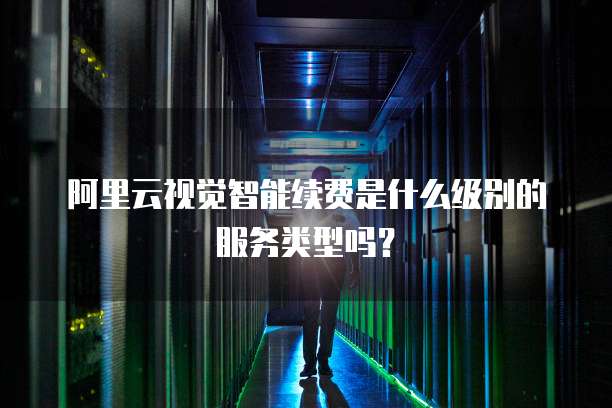 阿里云视觉智能续费是什么级别的服务类型吗?