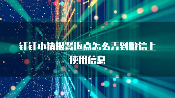 钉钉小猪报餐返点怎么弄到微信上使用信息