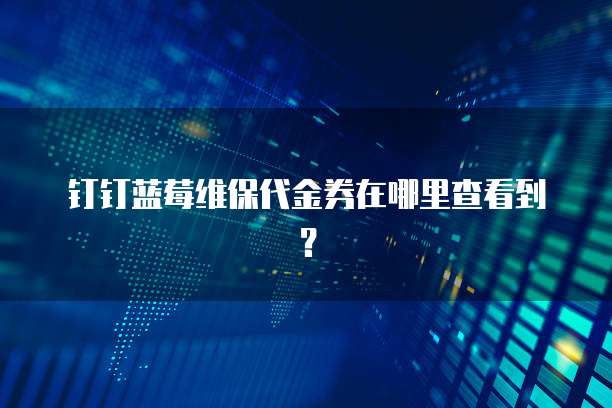 钉钉蓝莓维保代金券在哪里查看到?