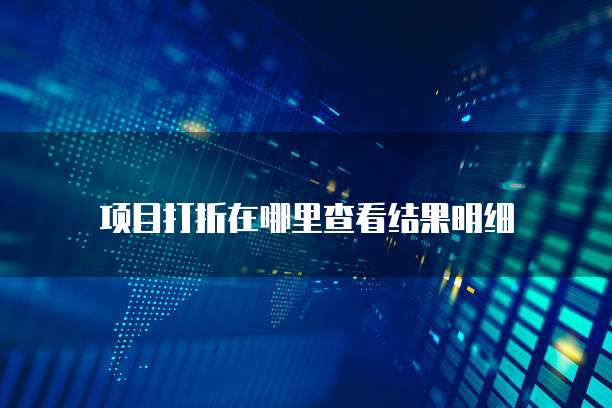 项目打折在哪里查看结果明细