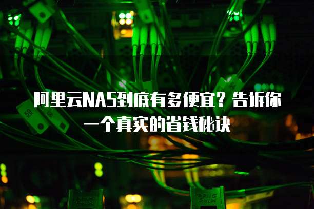 阿里云NAS到底有多便宜?告诉你一个真实的省钱秘诀