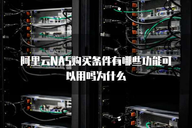 阿里云NAS购买条件有哪些功能可以用吗为什么