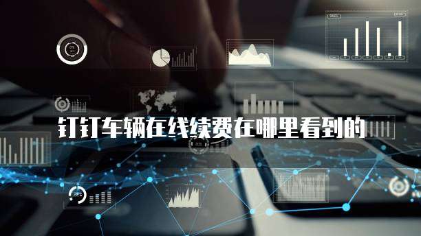 钉钉车辆在线续费在哪里看到的