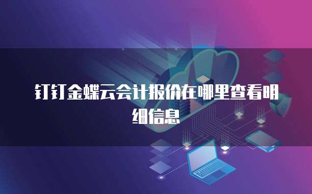 钉钉金蝶云会计报价在哪里查看明细信息