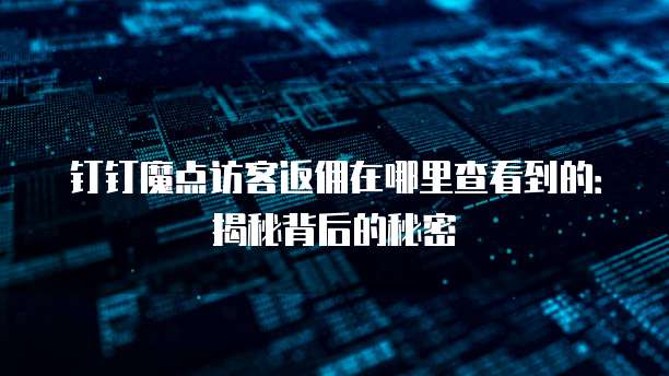 钉钉魔点访客返佣在哪里查看到的:揭秘背后的秘密