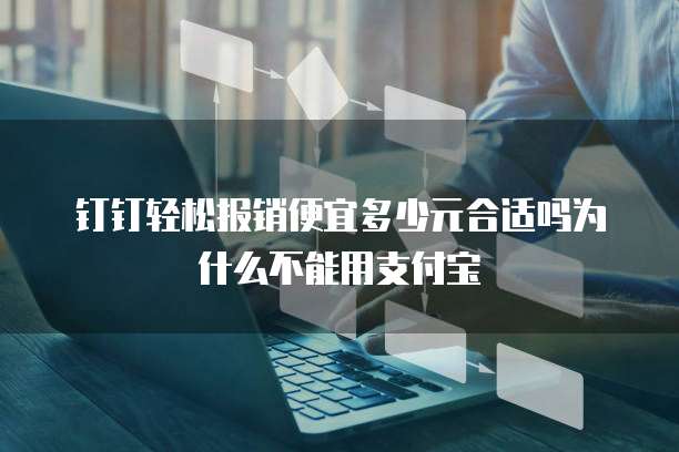 钉钉轻松报销便宜多少元合适吗为什么不能用支付宝