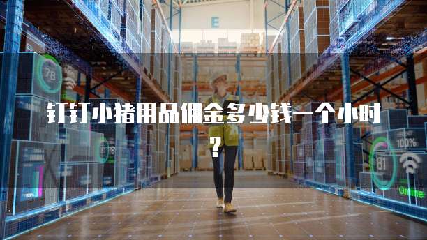 钉钉小猪用品佣金多少钱一个小时?