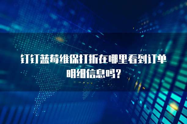 钉钉蓝莓维保打折在哪里看到订单明细信息吗?