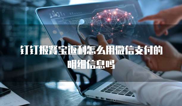 钉钉报餐宝返利怎么用微信支付的明细信息吗