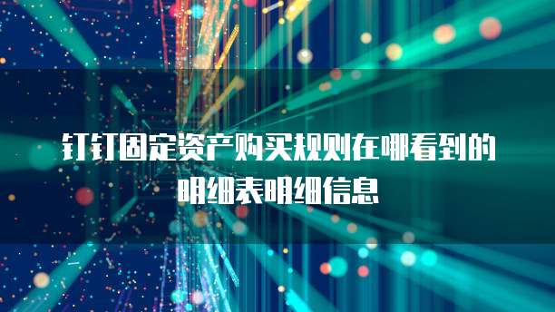 钉钉固定资产购买规则在哪看到的明细表明细信息
