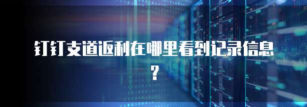 钉钉支道返利在哪里看到记录信息？