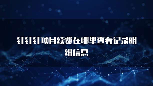 钉钉钉项目续费在哪里查看记录明细信息