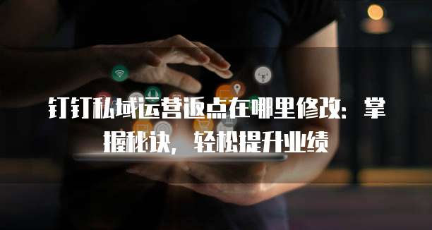 钉钉私域运营返点在哪里修改：掌握秘诀，轻松提升业绩
