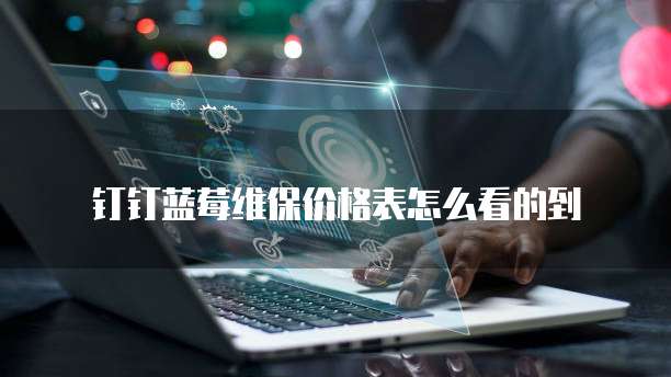 钉钉蓝莓维保价格表怎么看的到