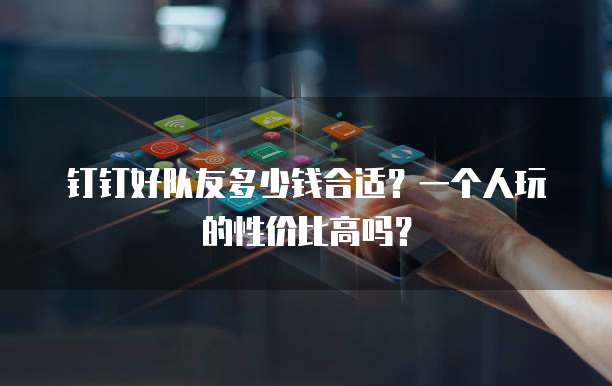 钉钉好队友多少钱合适?一个人玩的性价比高吗?